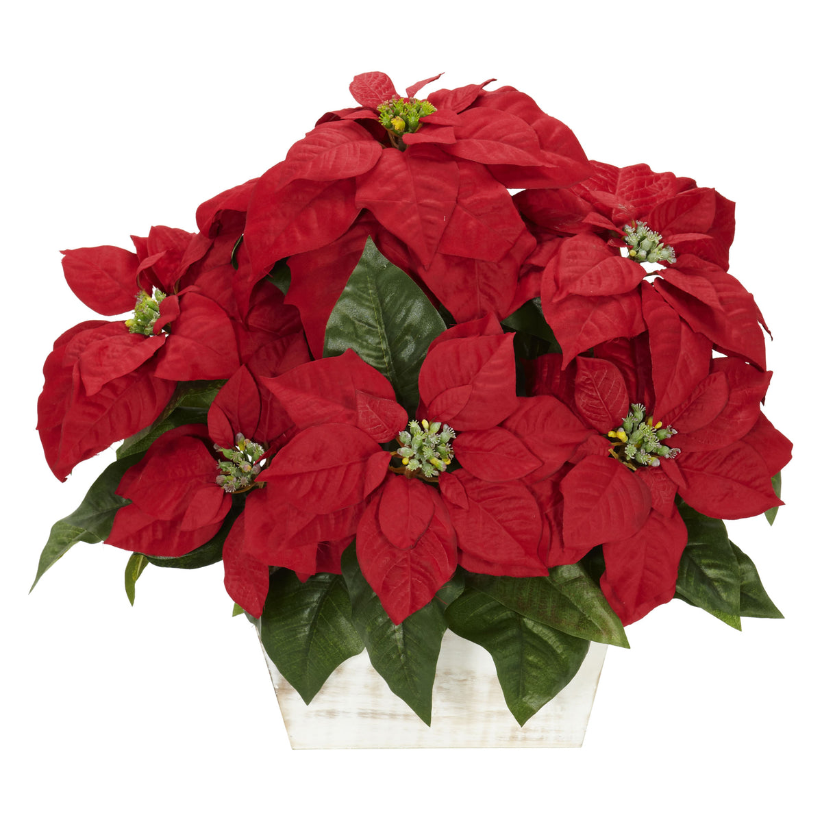 Poinsettia w/White Wash Planter by Nearly Natural in Red