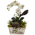 Orchid & Succulent Garden w/White Wash Planter by Nearly Natural