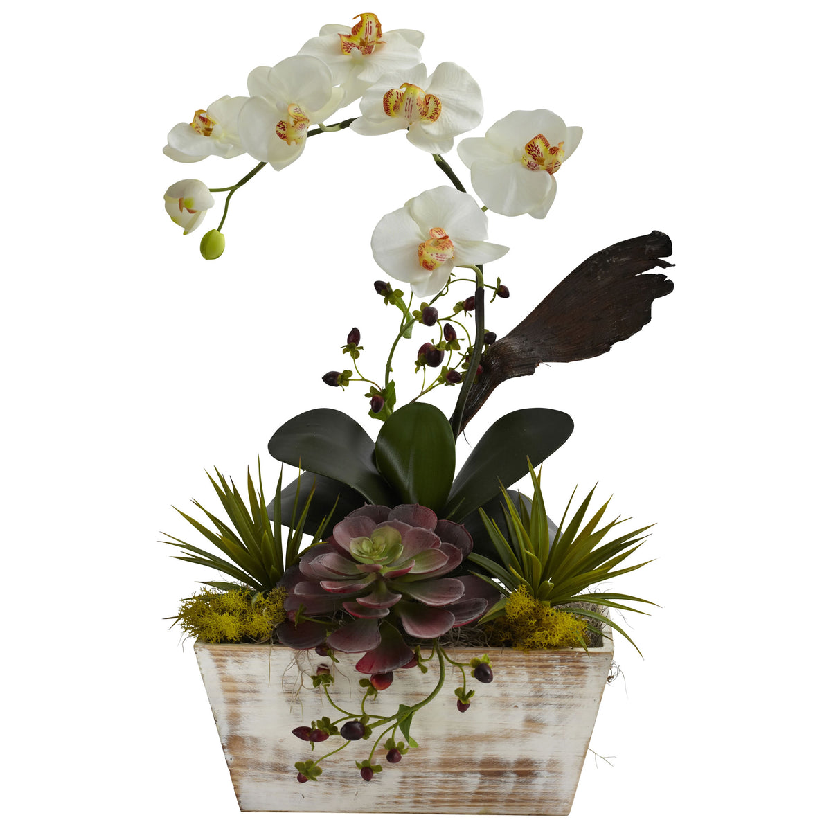 Orchid & Succulent Garden w/White Wash Planter by Nearly Natural