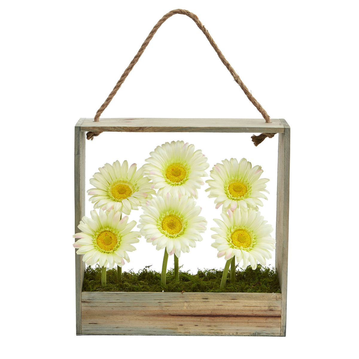 12" Gerber Daisy Garden in Hanging Frame by Nearly Natural in Cream