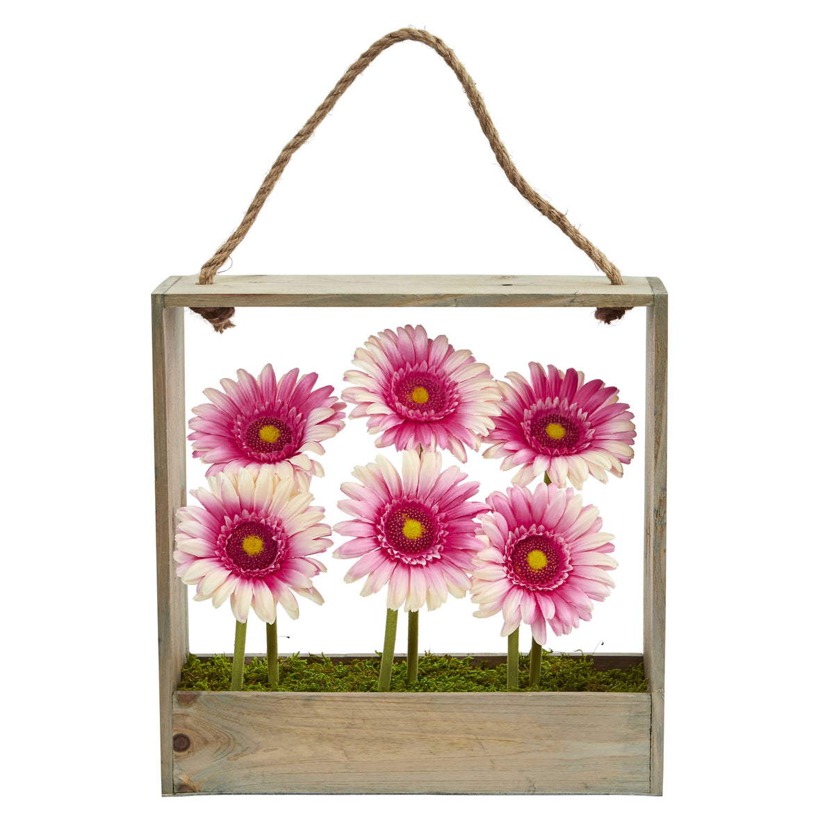12" Gerber Daisy Garden in Hanging Frame by Nearly Natural in Pink