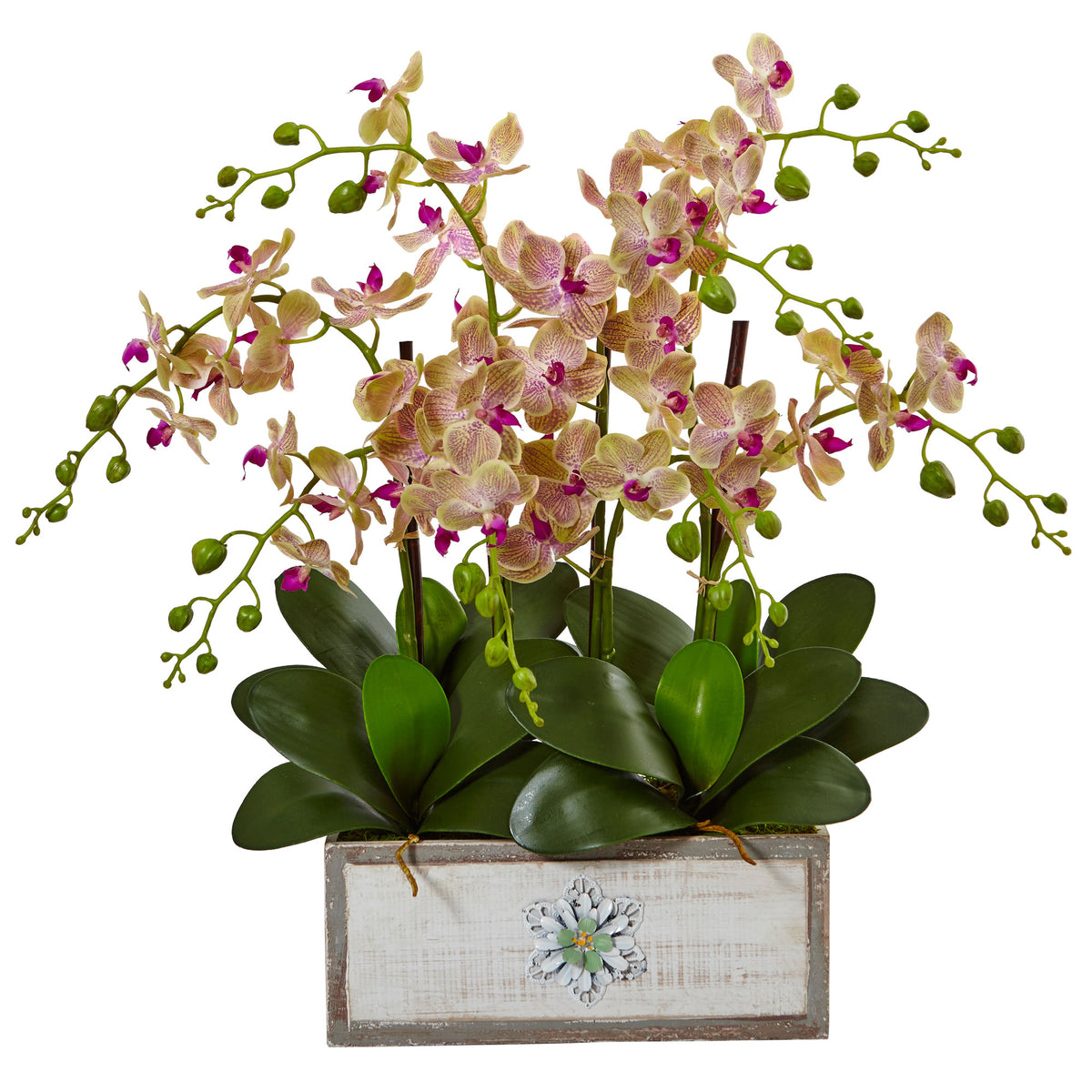 23" Phalaenopsis Orchid Arrangement in Decorative Wood Vase by Nearly Natural