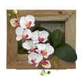 10" Phalaenopsis Orchid in Wooden Picture Frame by Nearly Natural in White