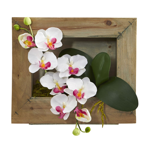 10" Phalaenopsis Orchid in Wooden Picture Frame by Nearly Natural in White