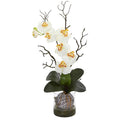 24" Phalaenopsis Orchid Artificial Arrangement in Vase by Nearly Natural in Cream