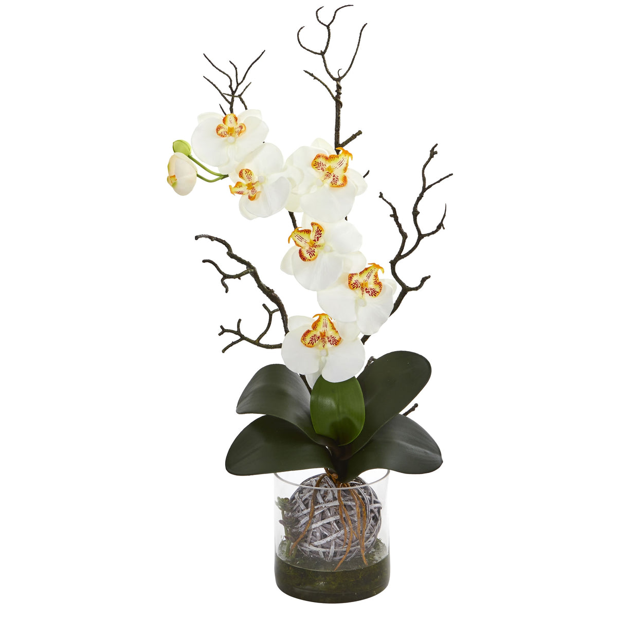 24" Phalaenopsis Orchid Artificial Arrangement in Vase by Nearly Natural in Cream