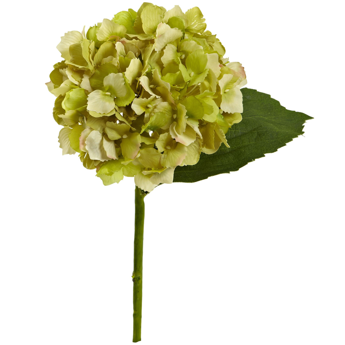 12" Hydrangea Artificial Flower (Set of 12) by Nearly Natural in Green