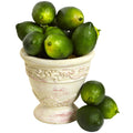 Faux Limes (Set of 12) by Nearly Natural