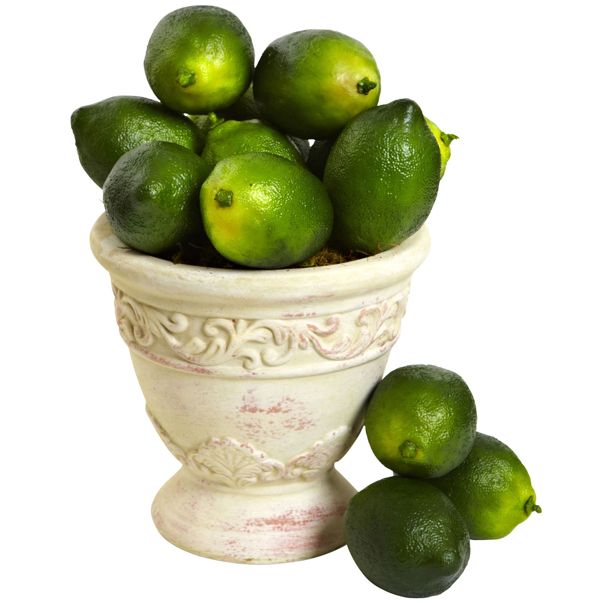 Faux Limes (Set of 12) by Nearly Natural