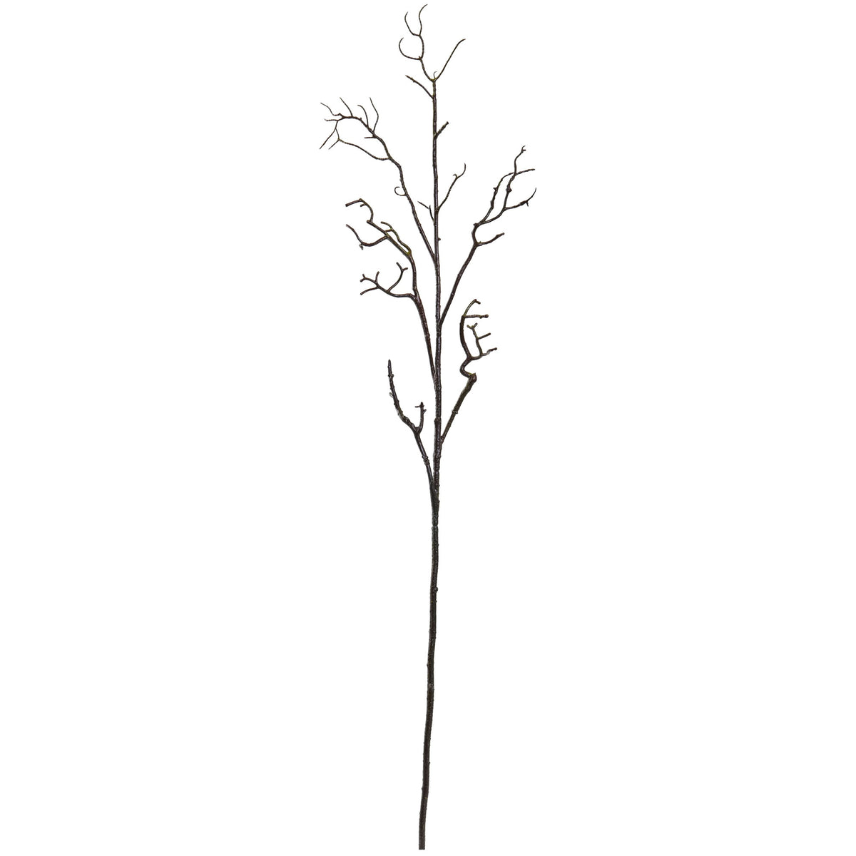 46" Deadwood Stem (Set of 6) by Nearly Natural