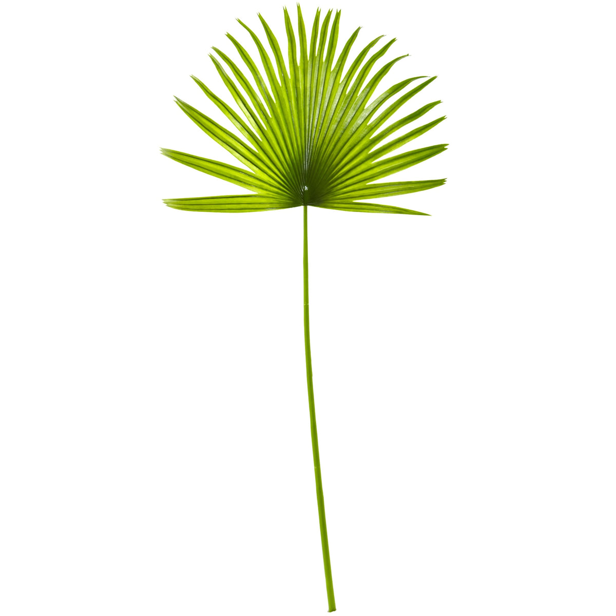 33'' Fan Palm Artificial Plant (Set of 6) by Nearly Natural