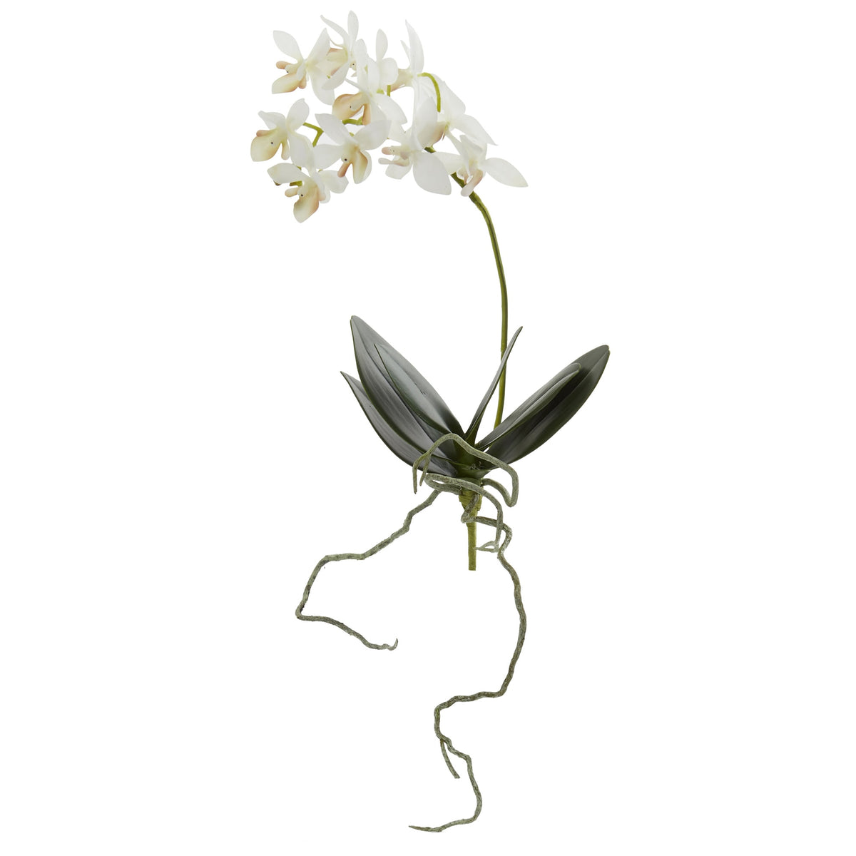 13" Mini Orchid Phalaenopsis Artificial Flower (Set of 6) by Nearly Natural