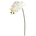 28" Phalaenopsis Orchid Artificial Flower (Set of 6) by Nearly Natural in White