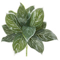 21" Silver Aglonema Artificial Plant (Real Touch) (Set of 6) by Nearly Natural