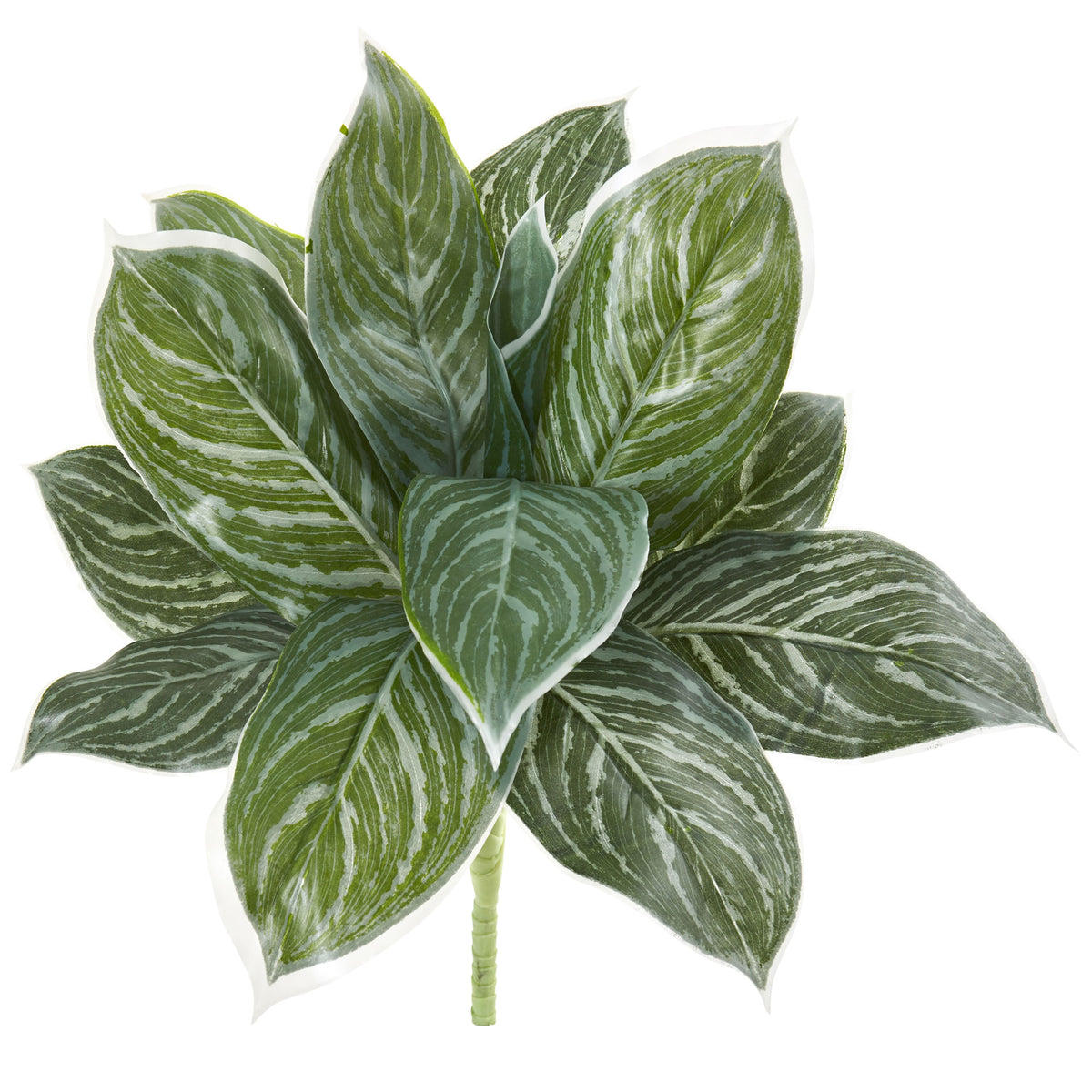 21" Silver Aglonema Artificial Plant (Real Touch) (Set of 6) by Nearly Natural