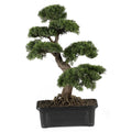 2' Cedar Bonsai Tree by Nearly Natural in Green