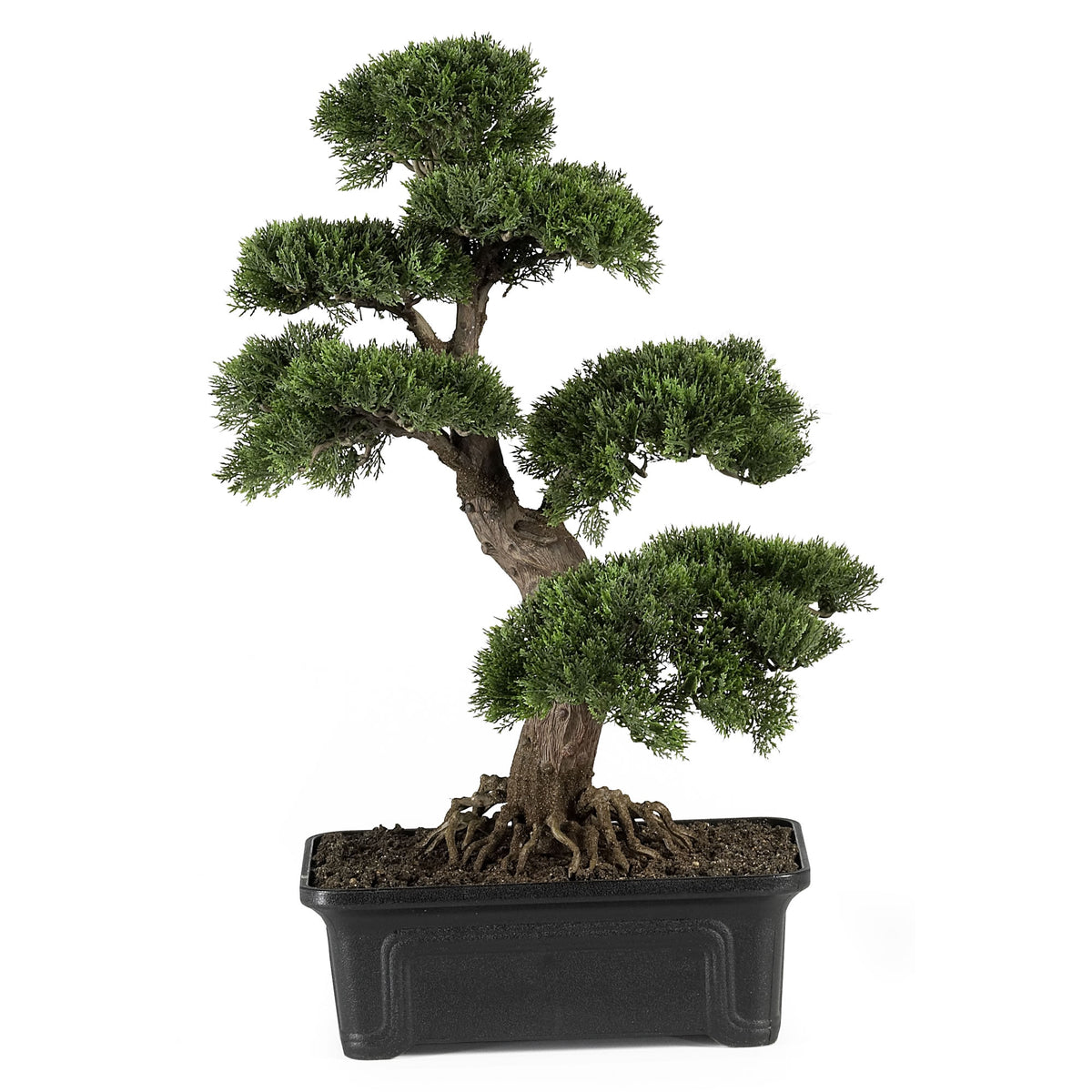 2' Cedar Bonsai Tree by Nearly Natural in Green