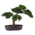 16" Cedar Bonsai Tree by Nearly Natural in Green