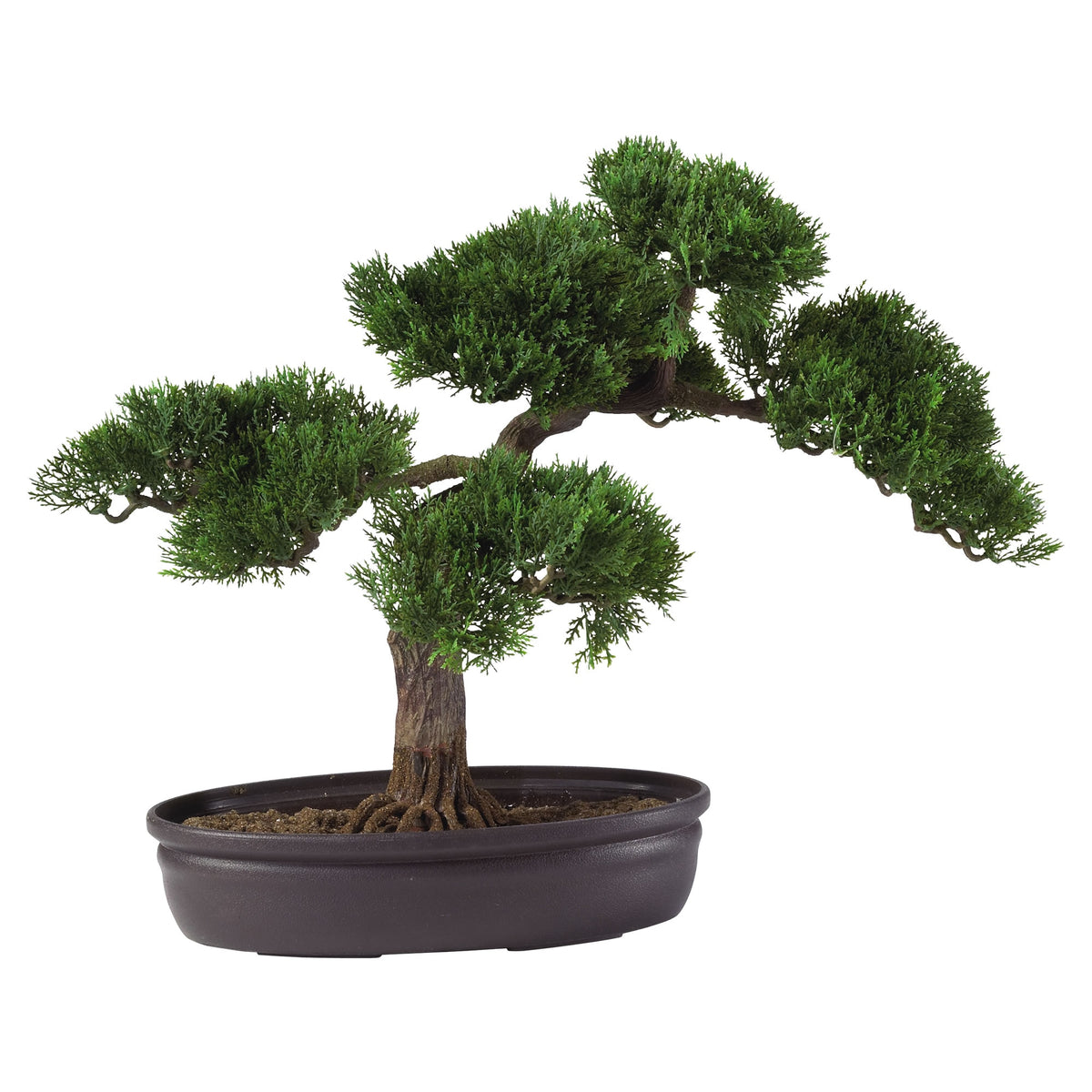 16" Cedar Bonsai Tree by Nearly Natural in Green