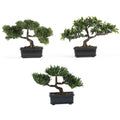 12" Bonsai Silk Plant Collection (Set of 3) by Nearly Natural in Green