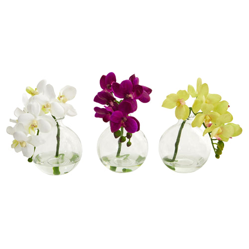 10" Phalaenopsis Pot (Set of 3) by Nearly Natural