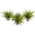 14" Fern Pot (Set of 3) by Nearly Natural