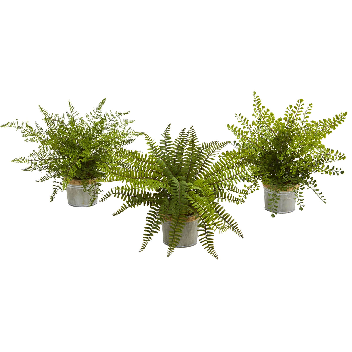 14" Fern Pot (Set of 3) by Nearly Natural