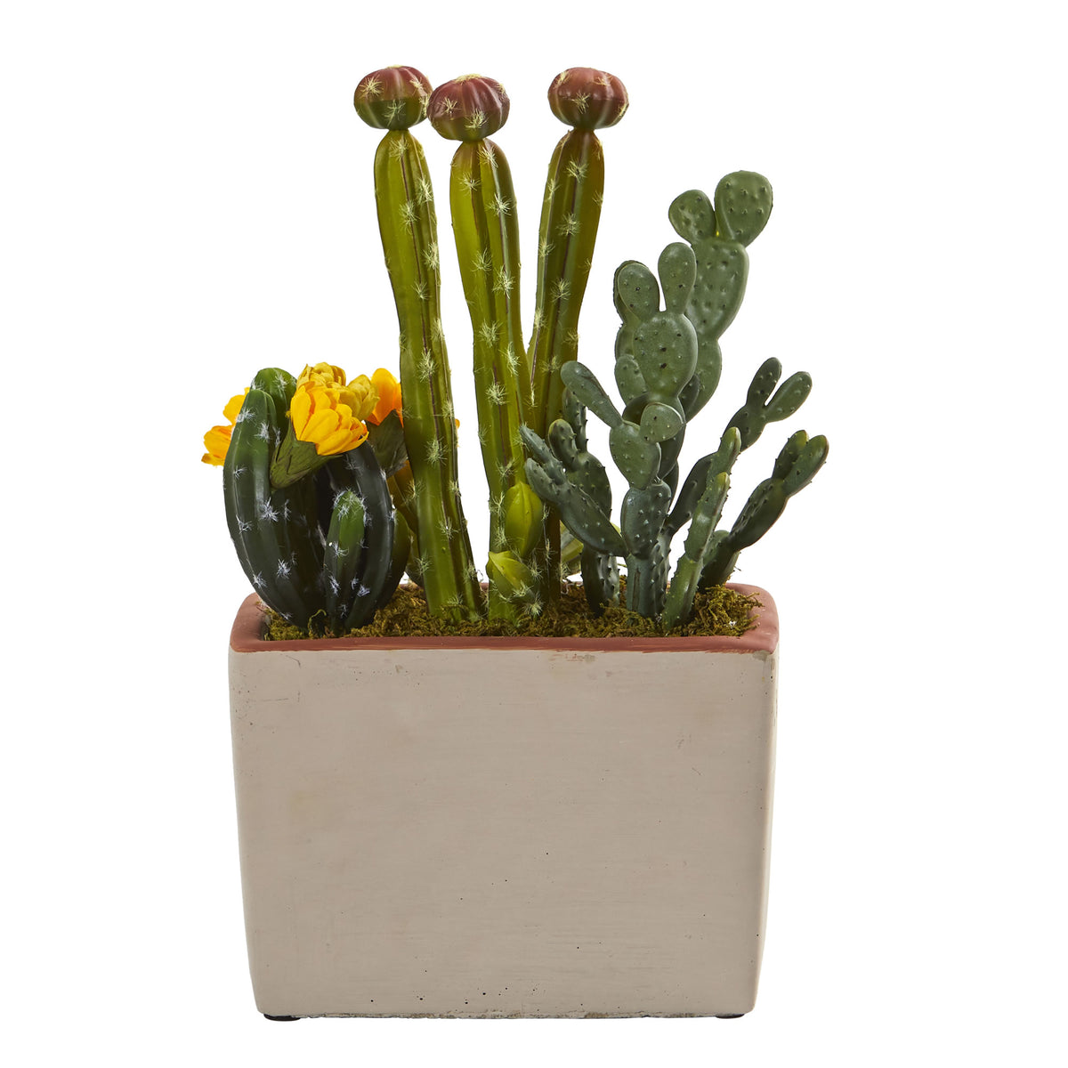 14" Mixed Cactus Artificial Plant with Decorative Planter by Nearly Natural