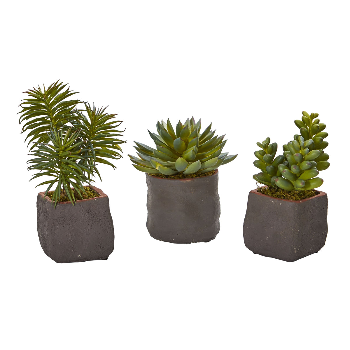 Mixed Succulent Trio Artificial Plant (Set of 3) by Nearly Natural