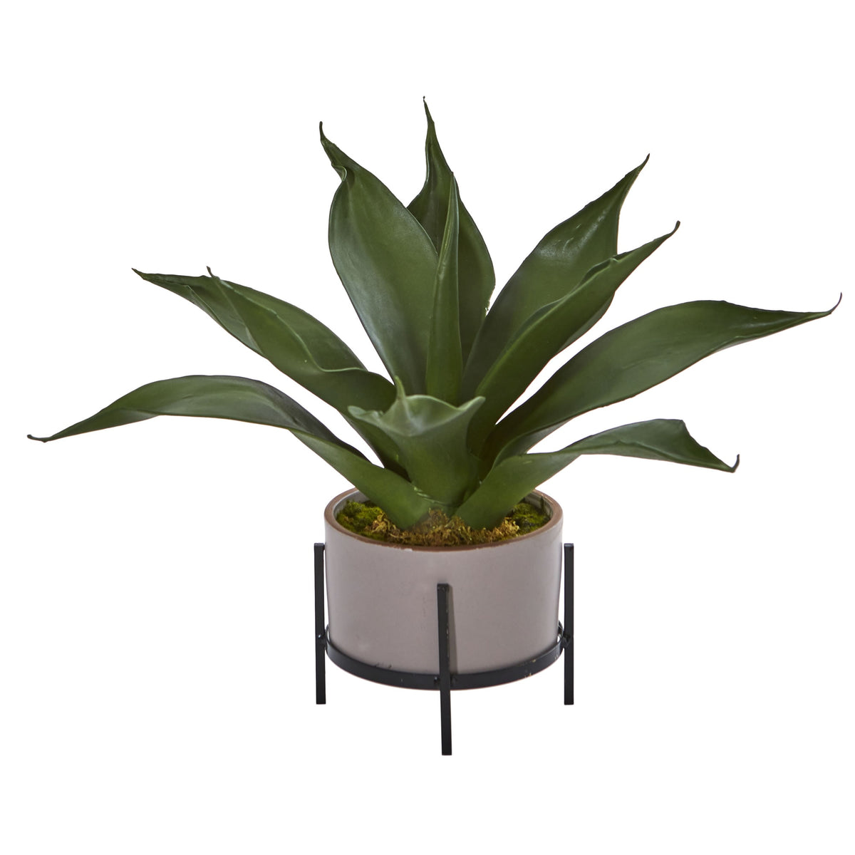 14" Agave Succulent in Decorative Planter by Nearly Natural