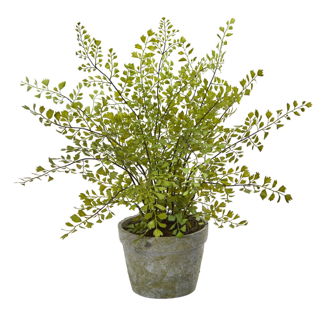 15" Maiden Hair Artificial Plant in Decorative Planter by Nearly Natural