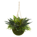 13" Agave and Maiden Hair Hanging Basket (Indoor/Outdoor) by Nearly Natural