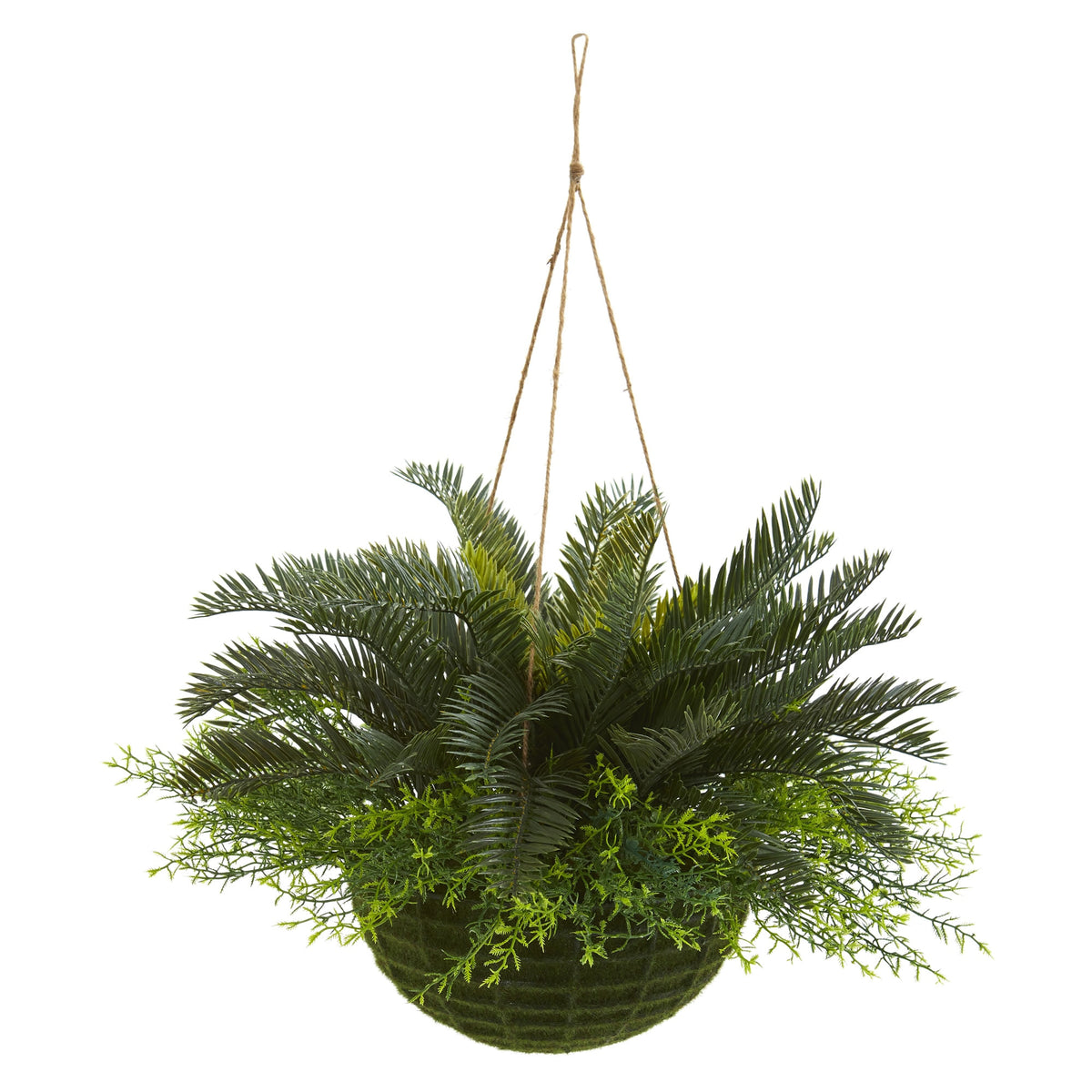 13" Cycas Plant in Mossy Hanging Basket (Indoor/Outdoor) by Nearly Natural