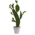 27" Cactus Artificial Plant by Nearly Natural