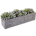 5.5" Succulent Garden w/Textured Concrete Planter by Nearly Natural