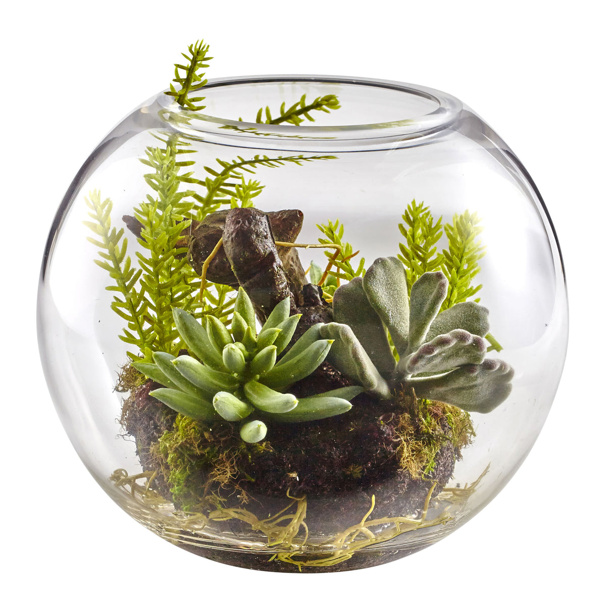 6.5" Mix Succulent Garden w/Glass Vase by Nearly Natural