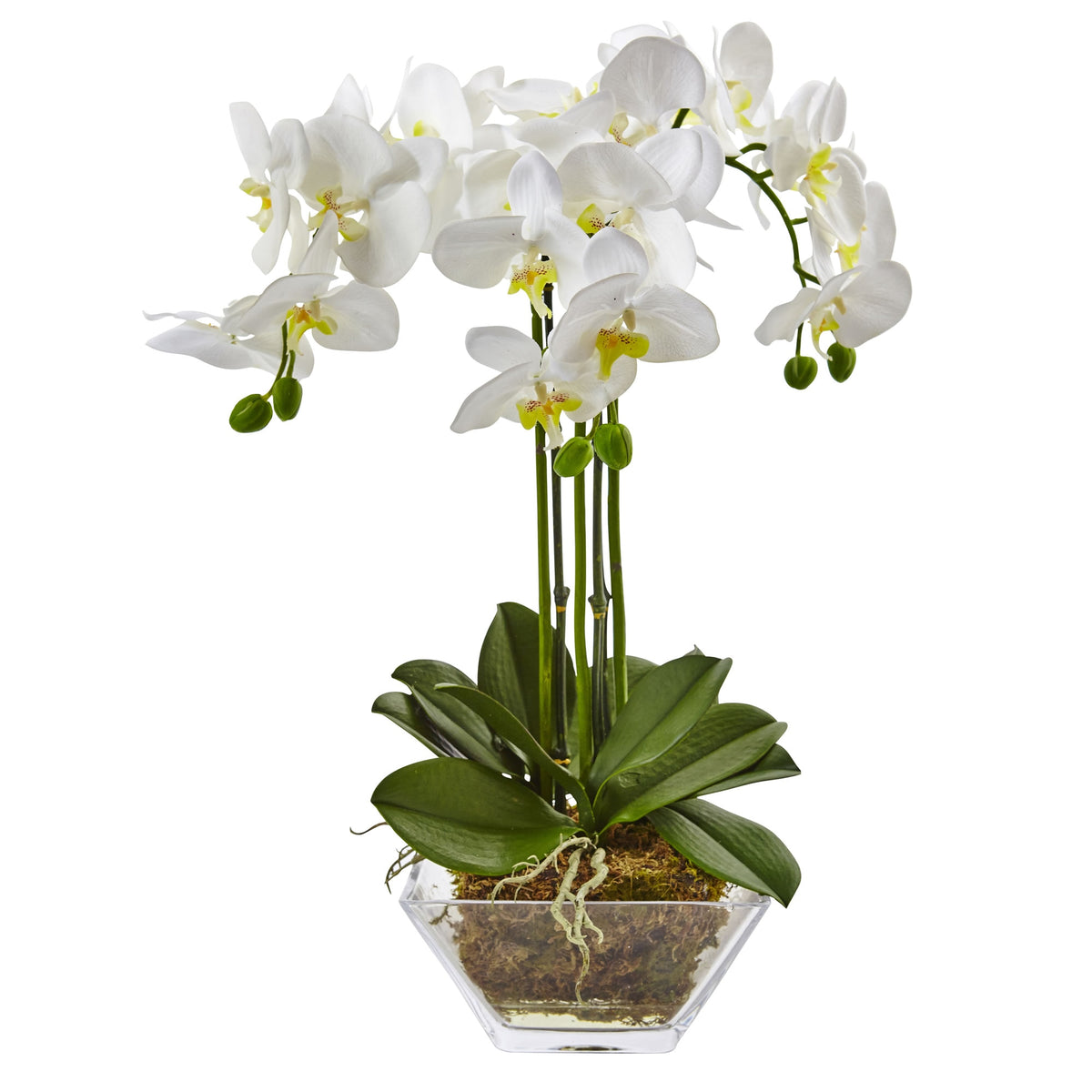 22" Triple Phalaenopsis Orchid in Glass Vase by Nearly Natural