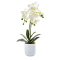 20'' Phalaenopsis Orchid in Frosted Glass by Nearly Natural