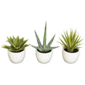 Southwest Collection (Set of 3) by Nearly Natural in Green