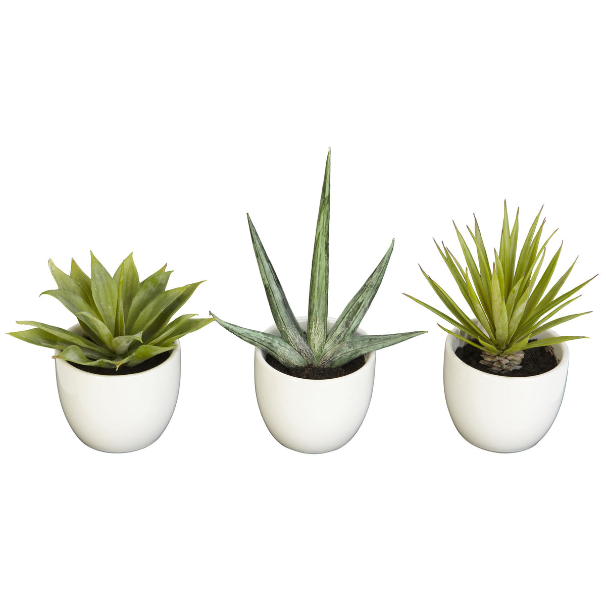 Southwest Collection (Set of 3) by Nearly Natural in Green
