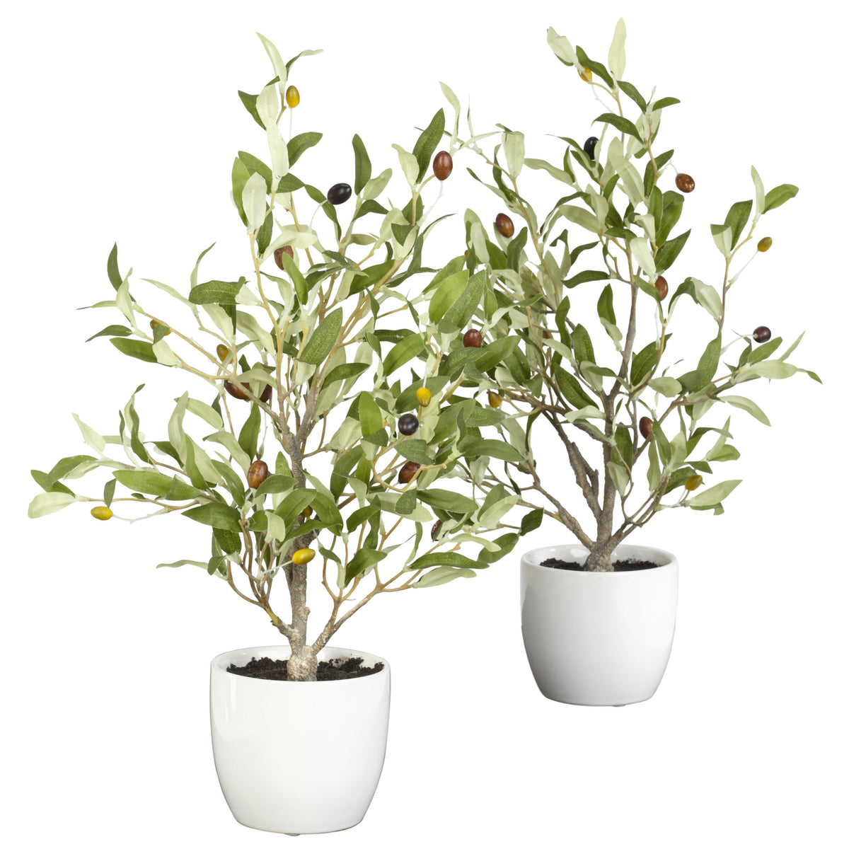 18" Olive Tree w/Vase  (Set of 2) by Nearly Natural in Green