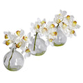 8" Cymbidium w/Vase (Set of 3) by Nearly Natural in White