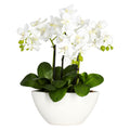 15 Phalaenopsis w/White Vase by Nearly Natural in White