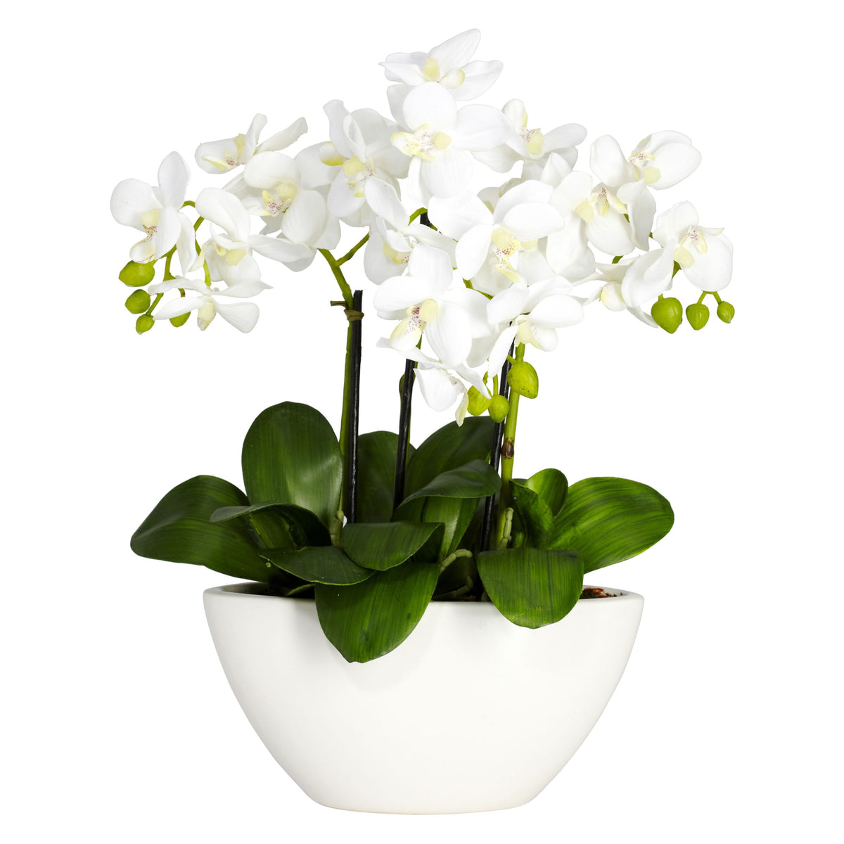 15 Phalaenopsis w/White Vase by Nearly Natural in White