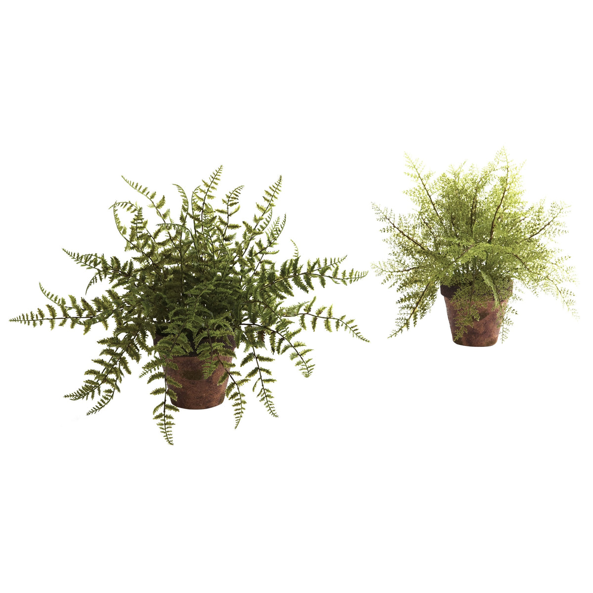12" Fern w/Decorative Planter (Set of 2) by Nearly Natural