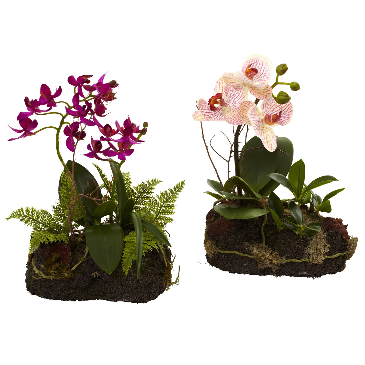 Orchid Island (Set of 2) by Nearly Natural