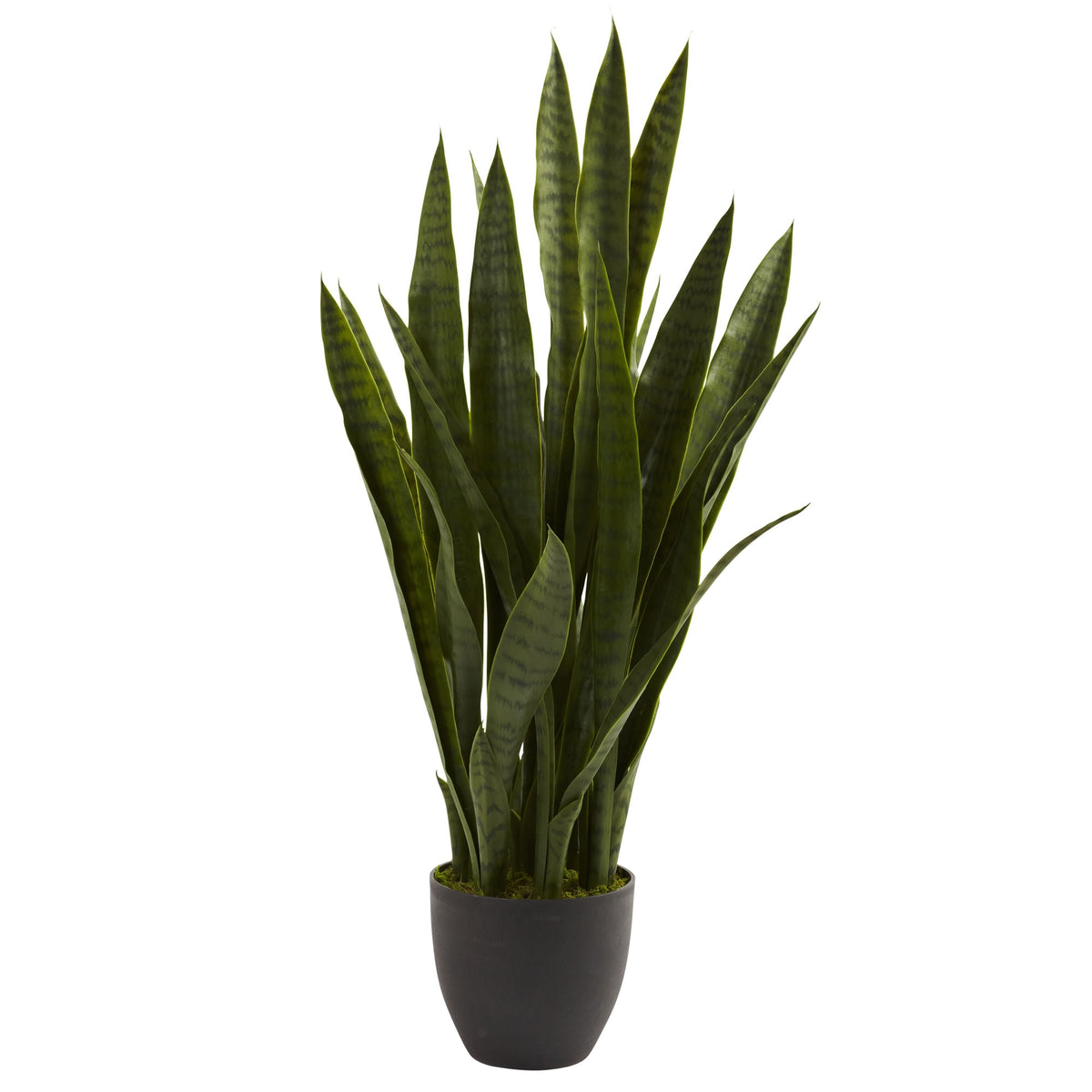35" Sansevieria w/Black Planter by Nearly Natural