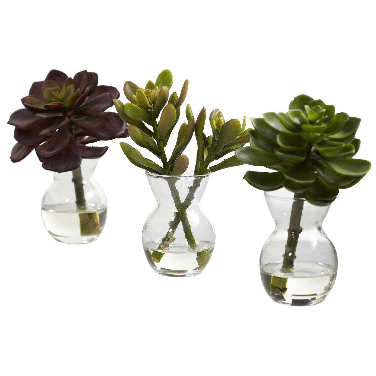 5.5" Succulent Arrangements (Set of 3) by Nearly Natural
