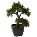 15" Cedar Bonsai by Nearly Natural
