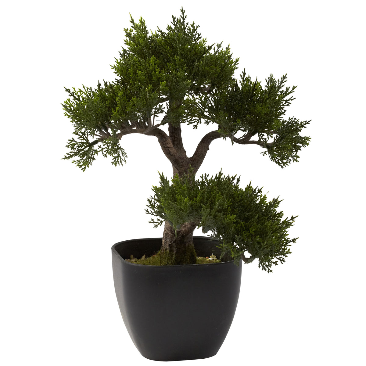 15" Cedar Bonsai by Nearly Natural